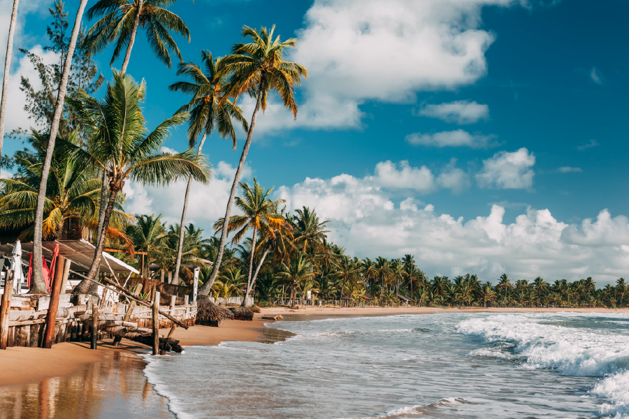 Palm Trees & Sea Shore Sky View Photograph Print 100% Australian Made