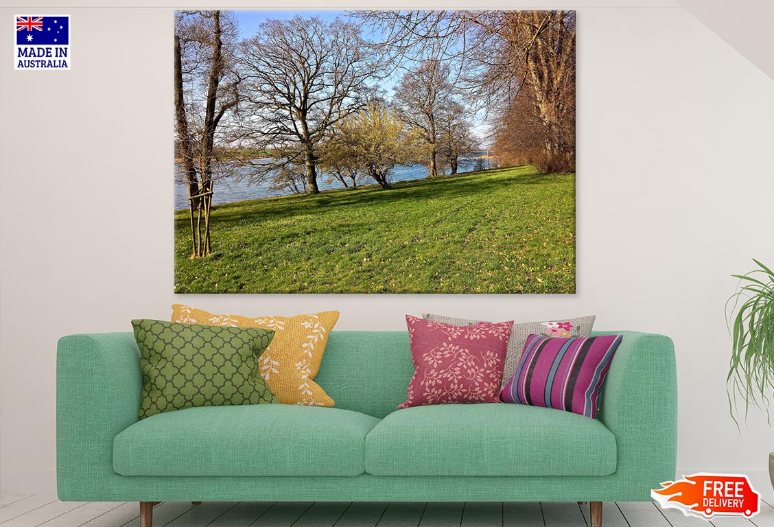 Trees Near River Photograph Print 100% Australian Made