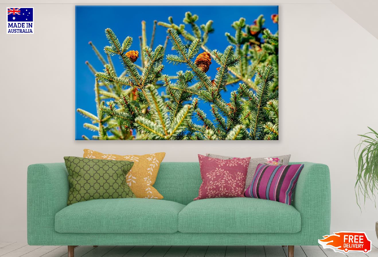 Fir Tree Branch View Photograph Print 100% Australian Made