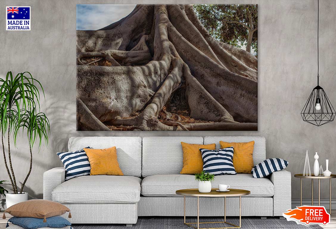 Huge Tree Root Closeup Photograph Print 100% Australian Made