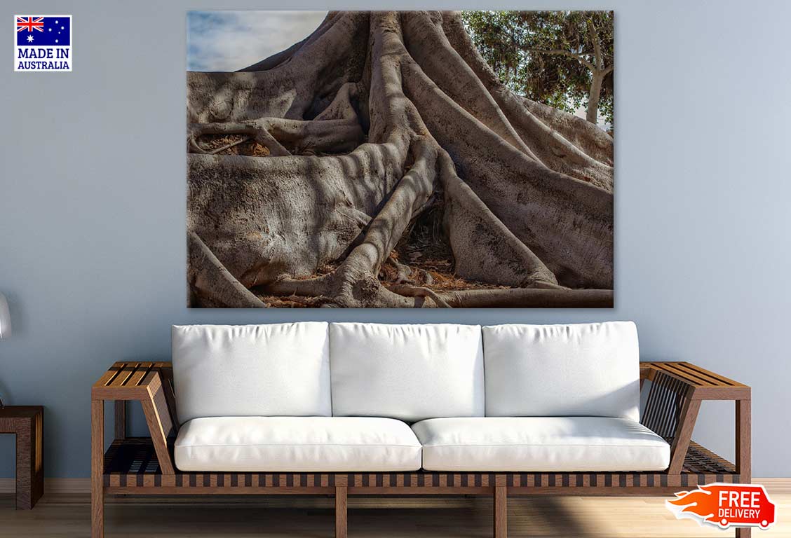 Huge Tree Root Closeup Photograph Print 100% Australian Made