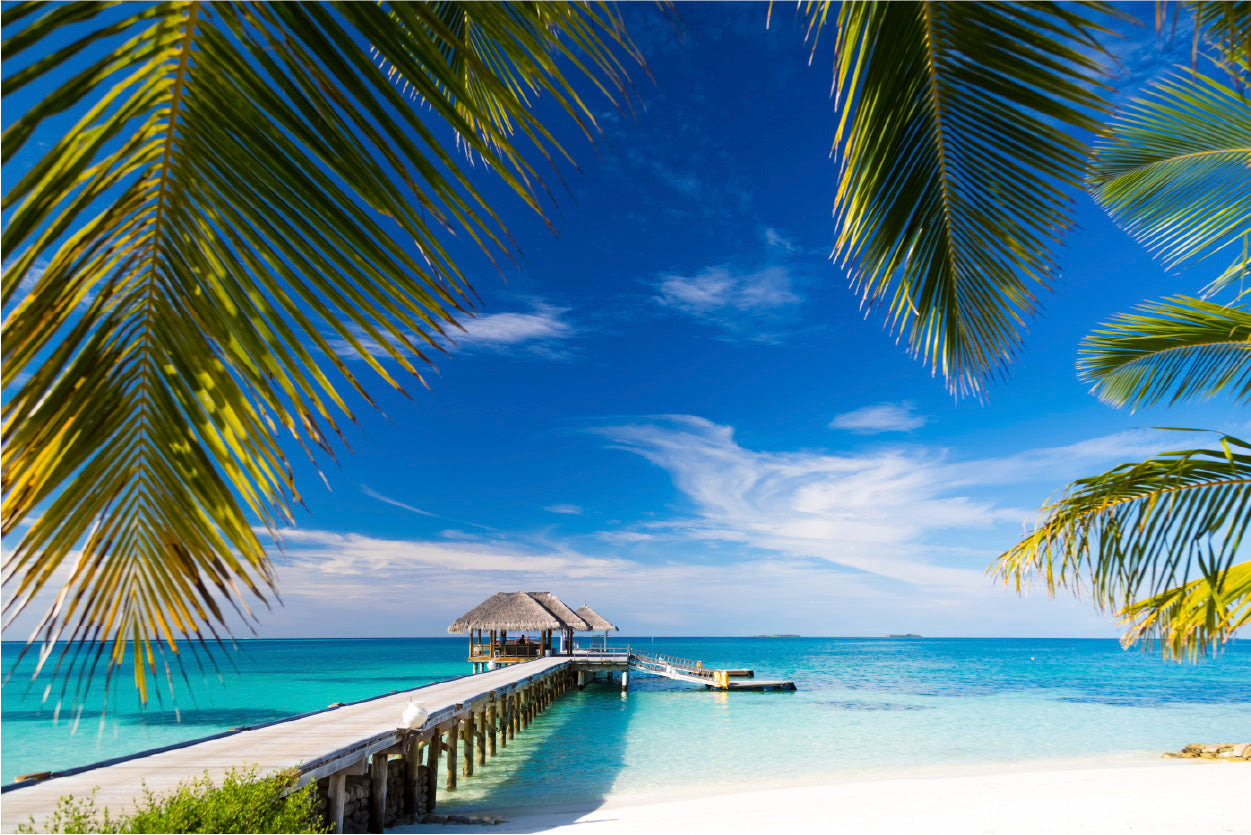 Bella Home Pier to The Beach & Sky Print Canvas Ready to hang