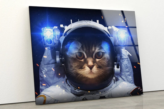 Cat in Astronaut Kit Photograph Acrylic Glass Print Tempered Glass Wall Art 100% Made in Australia Ready to Hang