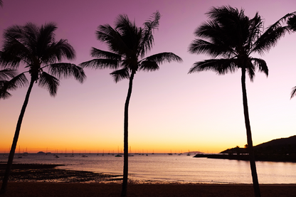 Palm Trees & Sunset Sky Scenery View Photograph Print 100% Australian Made