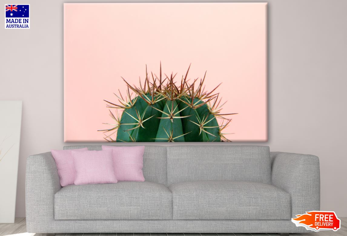 Cactus Plant Photograph Print 100% Australian Made