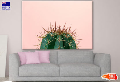 Cactus Plant Photograph Print 100% Australian Made