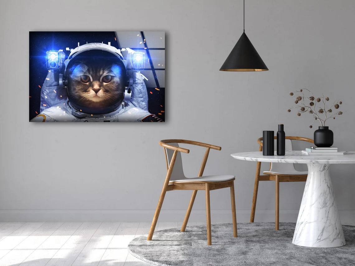 Cat in Astronaut Kit Photograph Acrylic Glass Print Tempered Glass Wall Art 100% Made in Australia Ready to Hang