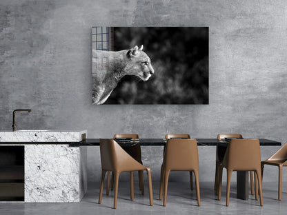 Cougar B&W Side View Print Tempered Glass Wall Art 100% Made in Australia Ready to Hang