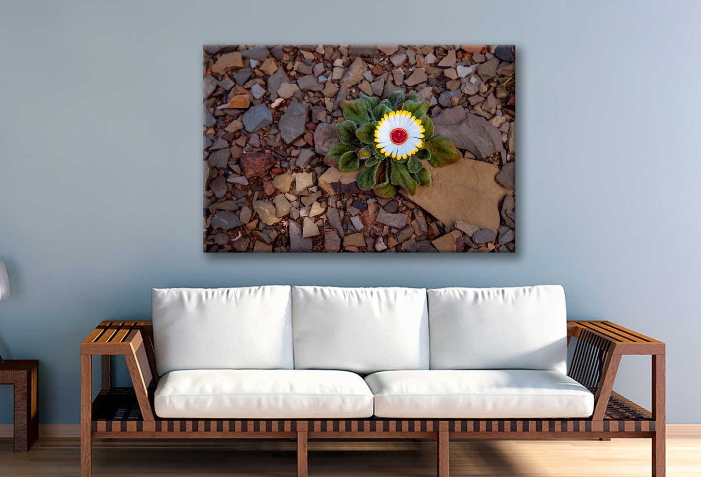 Bella Home Lands of The Western Cape & Namibia Print Canvas Ready to hang