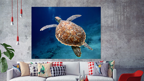 Stunning Turtle sea Print 100% Australian Made