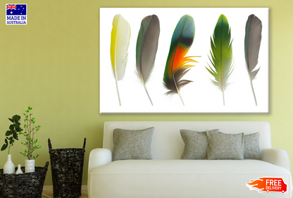 Colourful Feathers Painting Print 100% Australian Made