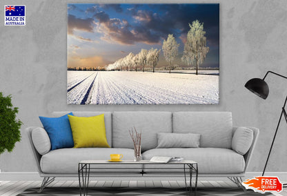 Snow Covered Trees on Snow Field Sunset Photograph Print 100% Australian Made