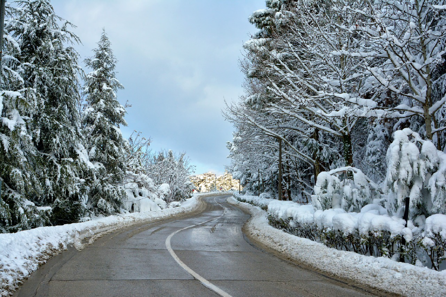 Road & Snow Covered Forest Photograph Print 100% Australian Made