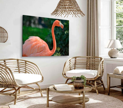 Bella Home Closeup Photograph of A Flamingo Print Canvas Ready to hang