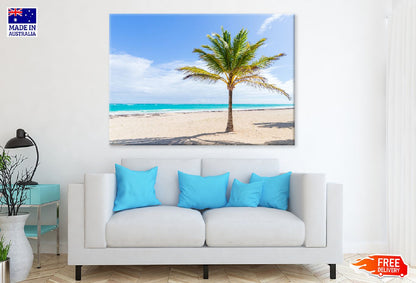 Palm Tree on Sea Sand Photograph Print 100% Australian Made