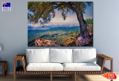 Tree & Mountain Scenery Photograph Print 100% Australian Made