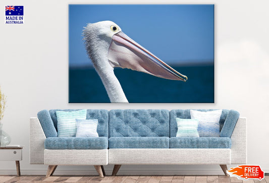 Pelican Bird Face Closeup Photograph Print 100% Australian Made