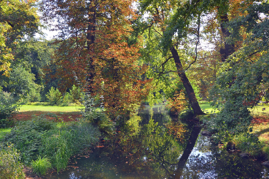 Canal in Colorful Forest Photograph Print 100% Australian Made