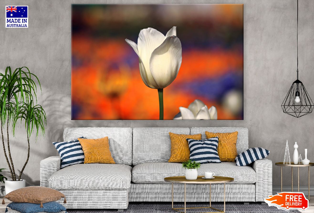 White Tulip Flower Closeup Photograph Print 100% Australian Made