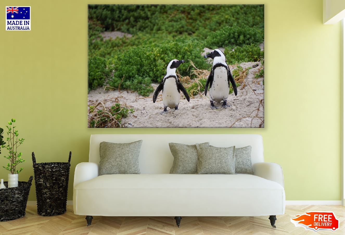 African Penguins on Valley Closeup Photograph Print 100% Australian Made