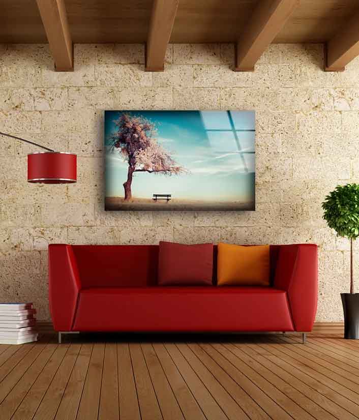 Bench Near Blossom Tree Photograph Acrylic Glass Print Tempered Glass Wall Art 100% Made in Australia Ready to Hang