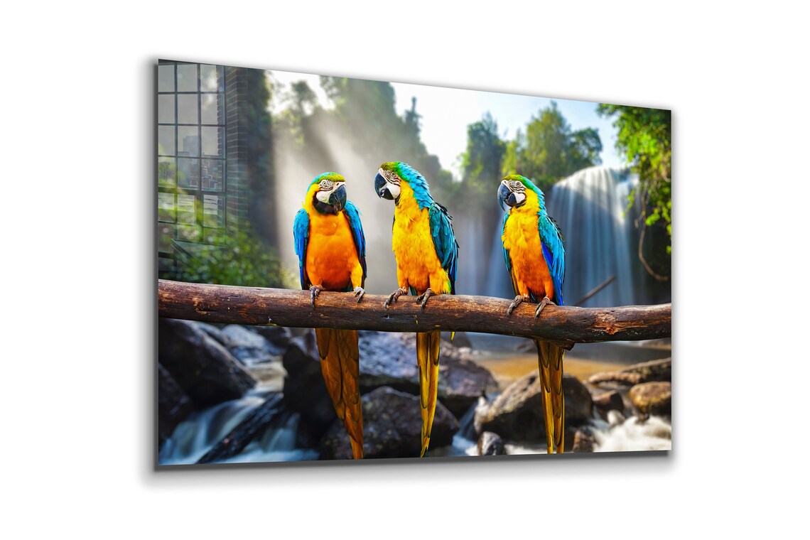 Macaw Birds on Branch Print Tempered Glass Wall Art 100% Made in Australia Ready to Hang