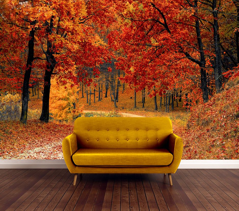 Wallpaper Murals Peel and Stick Removable Autumn Forest View High Quality