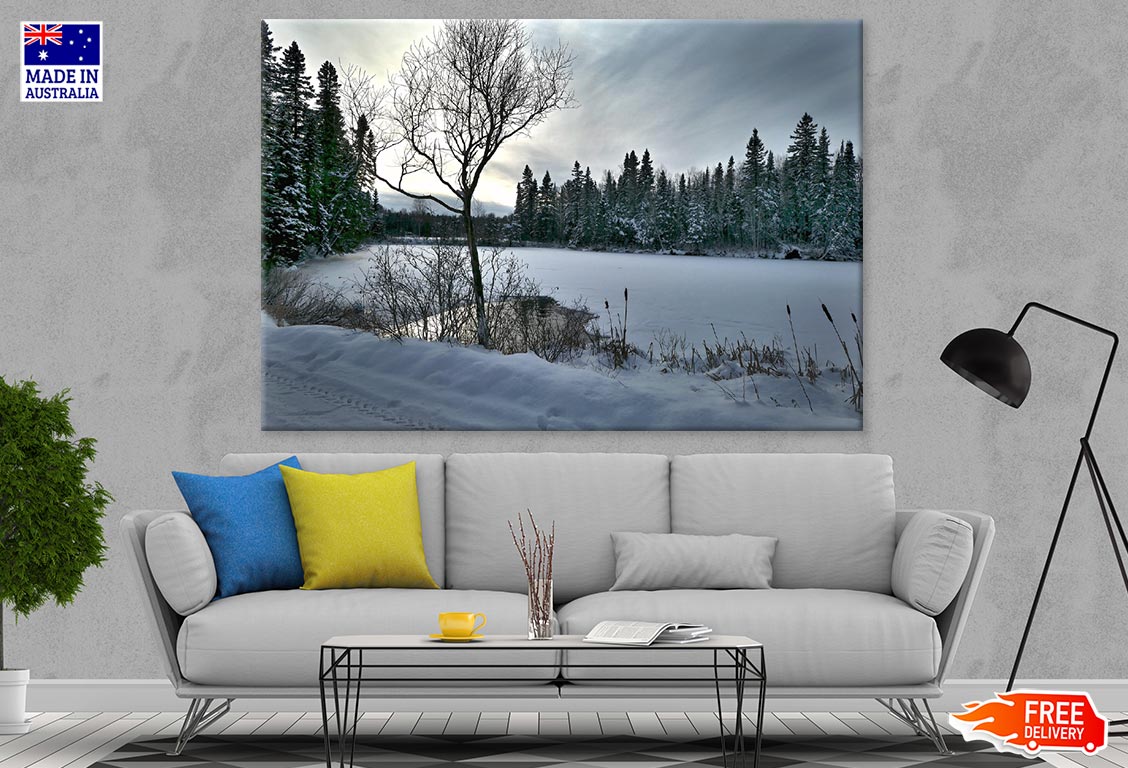 Snow Covered Forest & Frozen Lake Photograph Print 100% Australian Made