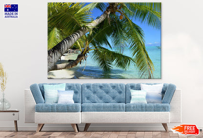 Palm Trees Near Sea Photograph Print 100% Australian Made