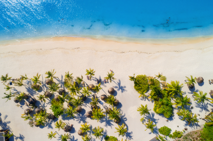 Palm Trees & Sea Aerial View Photograph Print 100% Australian Made