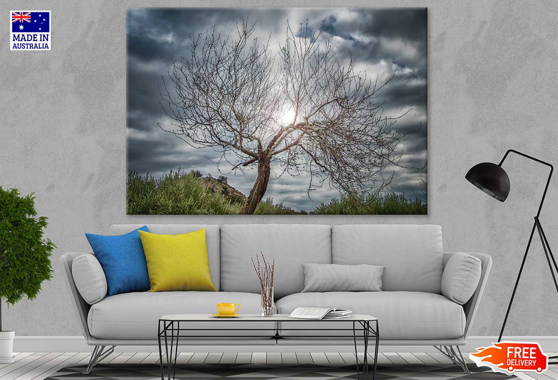 Dry Tree & Cloudy Sky Photograph Print 100% Australian Made