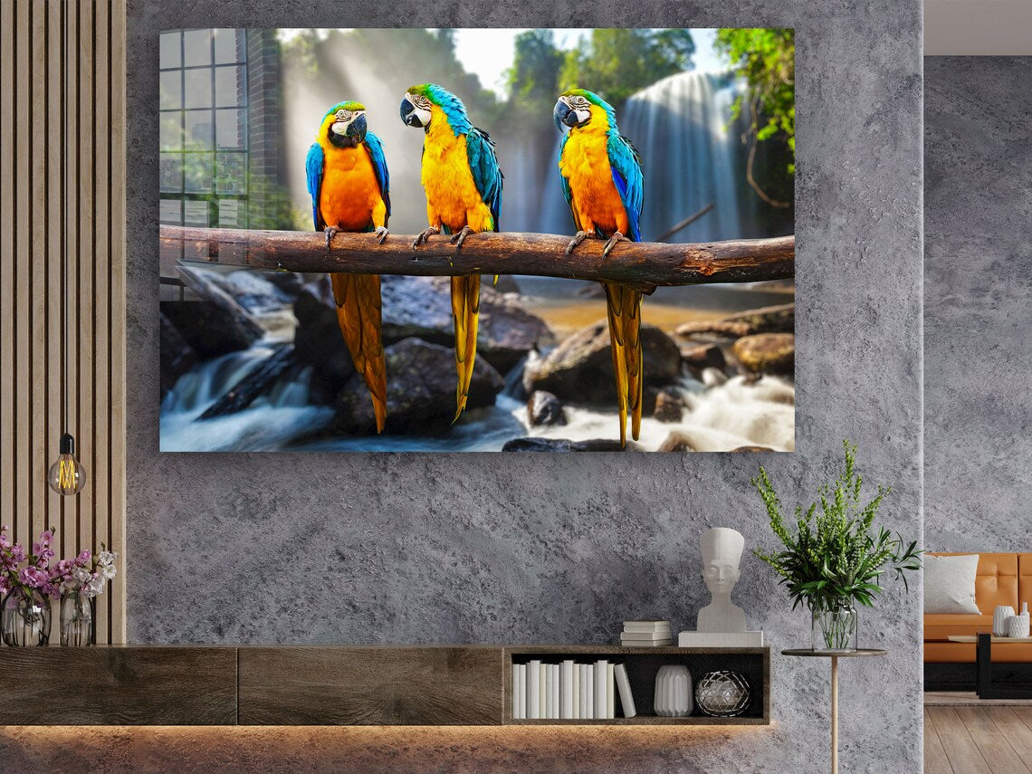 Macaw Birds on Branch Print Tempered Glass Wall Art 100% Made in Australia Ready to Hang