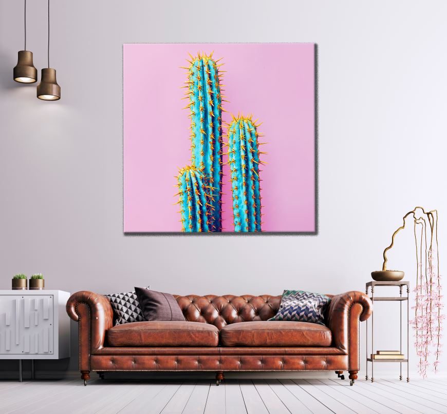 Square Canvas Cactus Plant Photograph High Quality Print 100% Australian Made