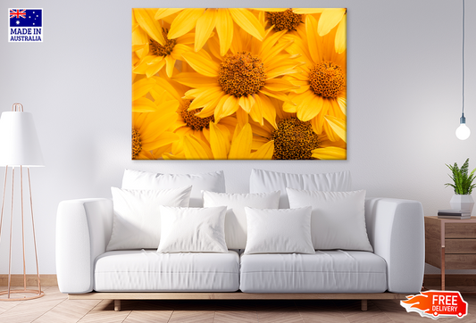 Sunflowes Closeup Photograph Print 100% Australian Made