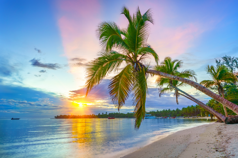 Palm Trees & Sunset Sky Scenery View Photograph Print 100% Australian Made