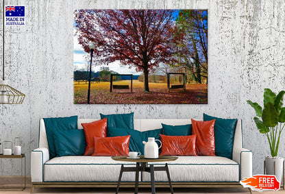 Autumn Tree with Bench in Garden Photograph Print 100% Australian Made