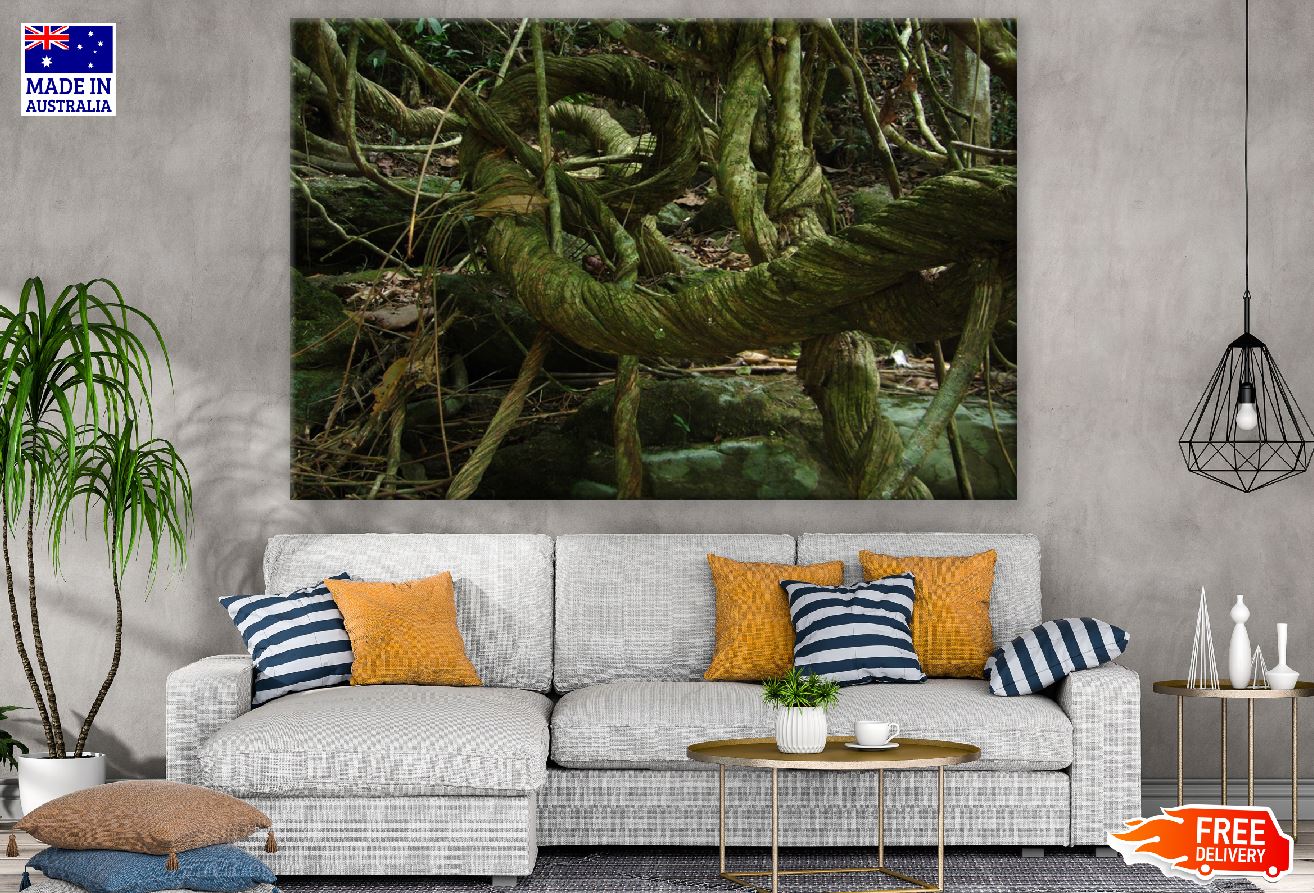 Green Trees Rope Photograph Print 100% Australian Made