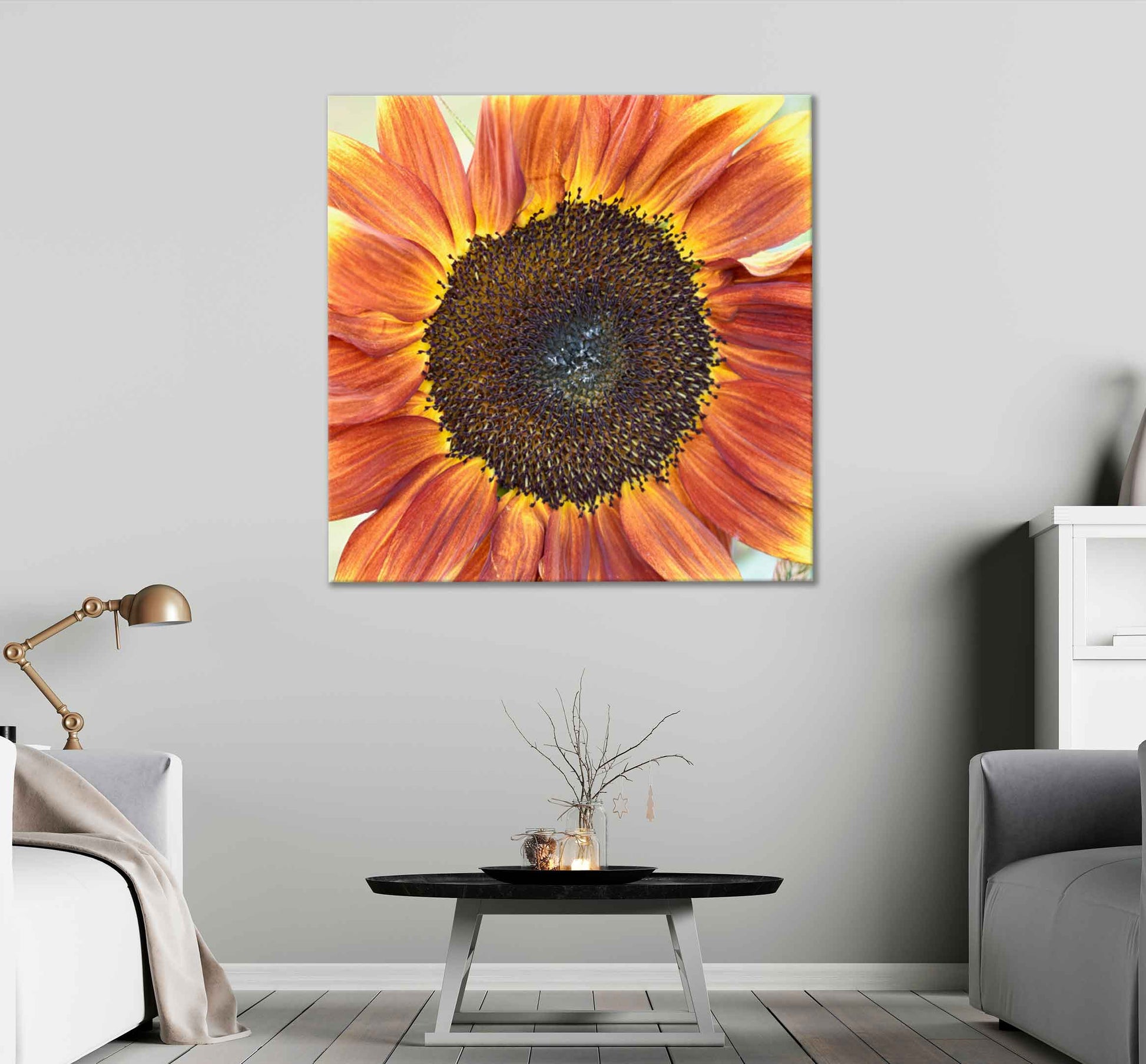 Square Canvas Ruby Passion Sunflower Macro View High Quality Print 100% Australian Made