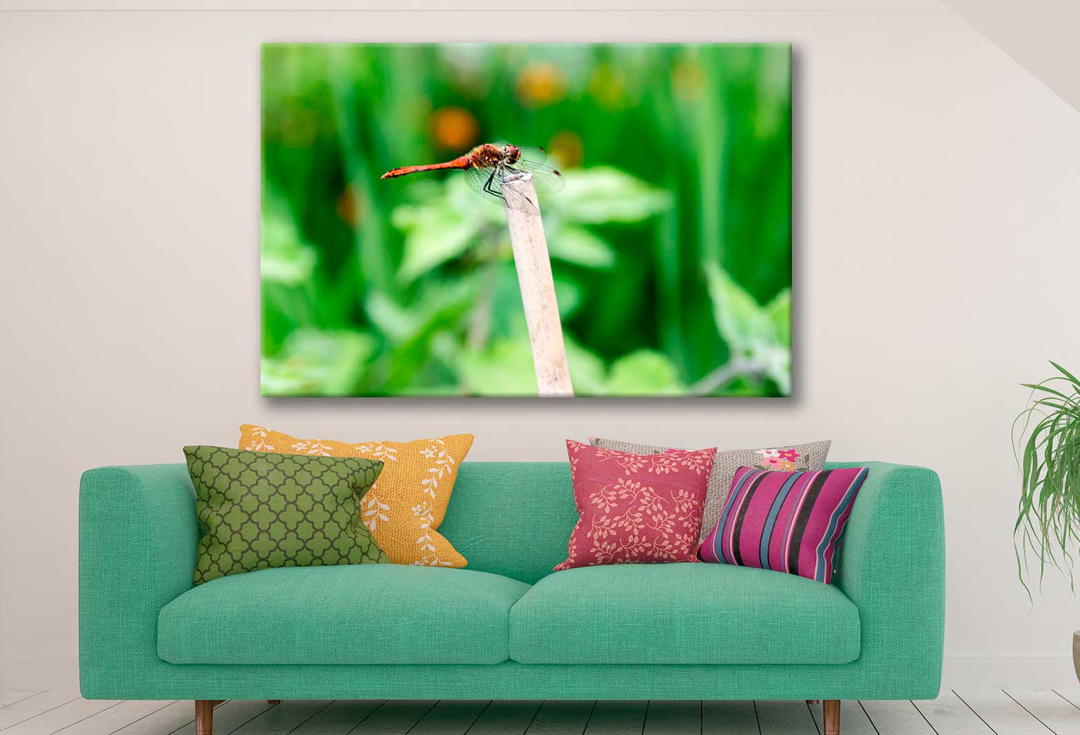 Bella Home Red Dragonfly Closeup Shot View Print Canvas Ready to hang