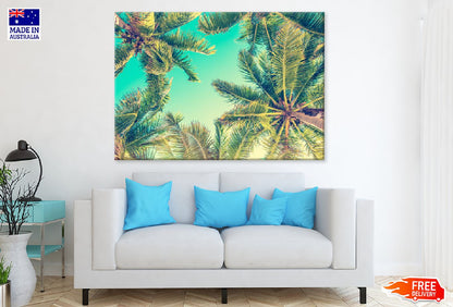 Sky & Palm Trees View From Below Photograph Print 100% Australian Made