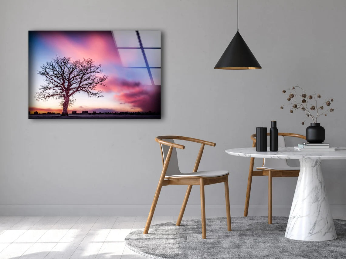 Dead Tree & Sunset Sky Photograph Acrylic Glass Print Tempered Glass Wall Art 100% Made in Australia Ready to Hang