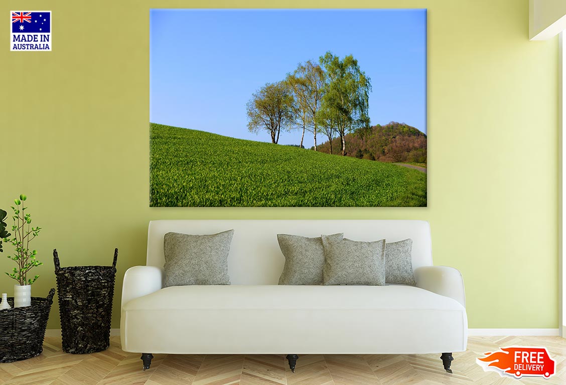 Tall Trees & Grass Field Photograph Print 100% Australian Made