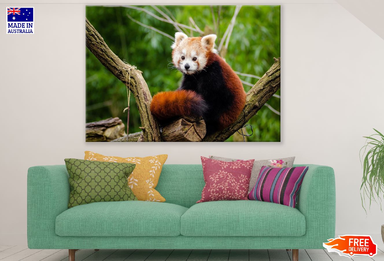 Red Panda on Tree Closeup Photograph Print 100% Australian Made