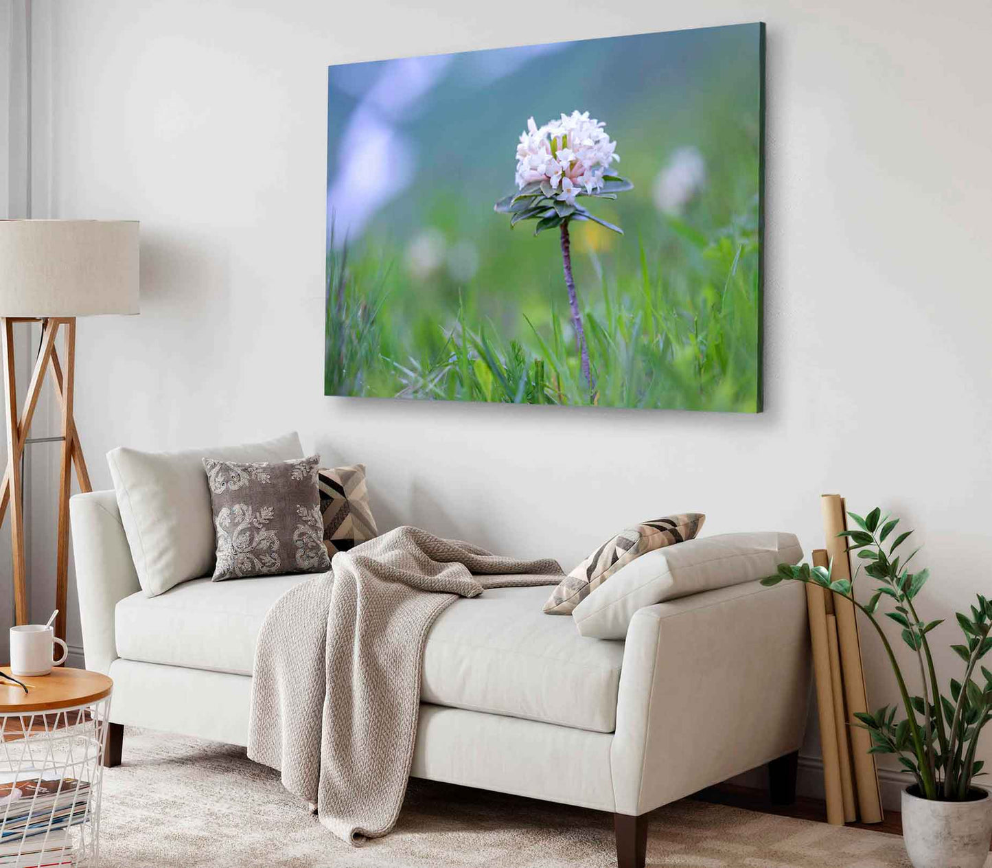 Bella Home Beauty Rhododendron In High Mountains Print Canvas Ready to hang