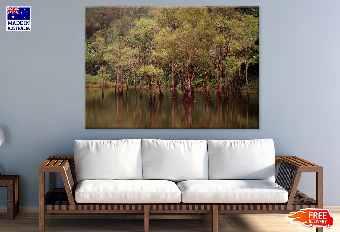 Trees on Lake Photograph Print 100% Australian Made