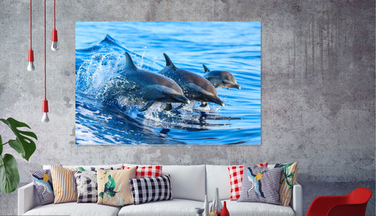 Dolphins Print 100% Australian Made