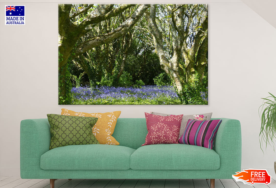 Purple Flower Field & Trees Photograph Print 100% Australian Made