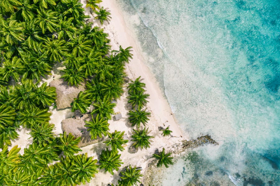 Palm Trees & Sea Aerial View Photograph Print 100% Australian Made