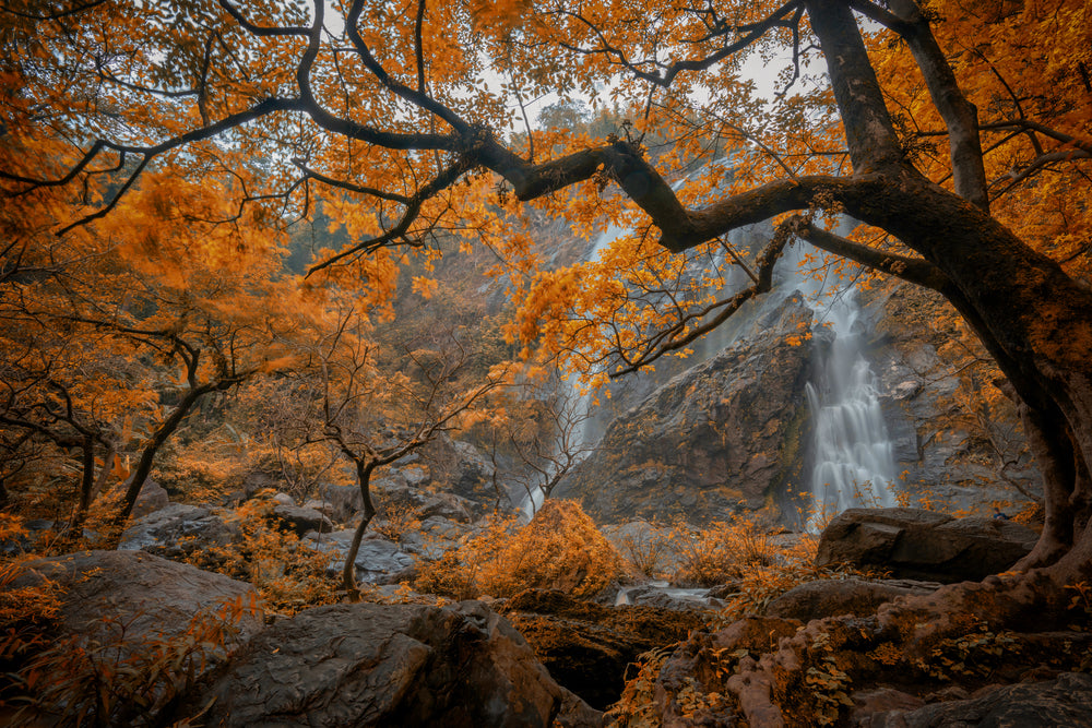 Waterfall & Orange Leaves Trees Home Decor Premium Quality Poster Print Choose Your Sizes