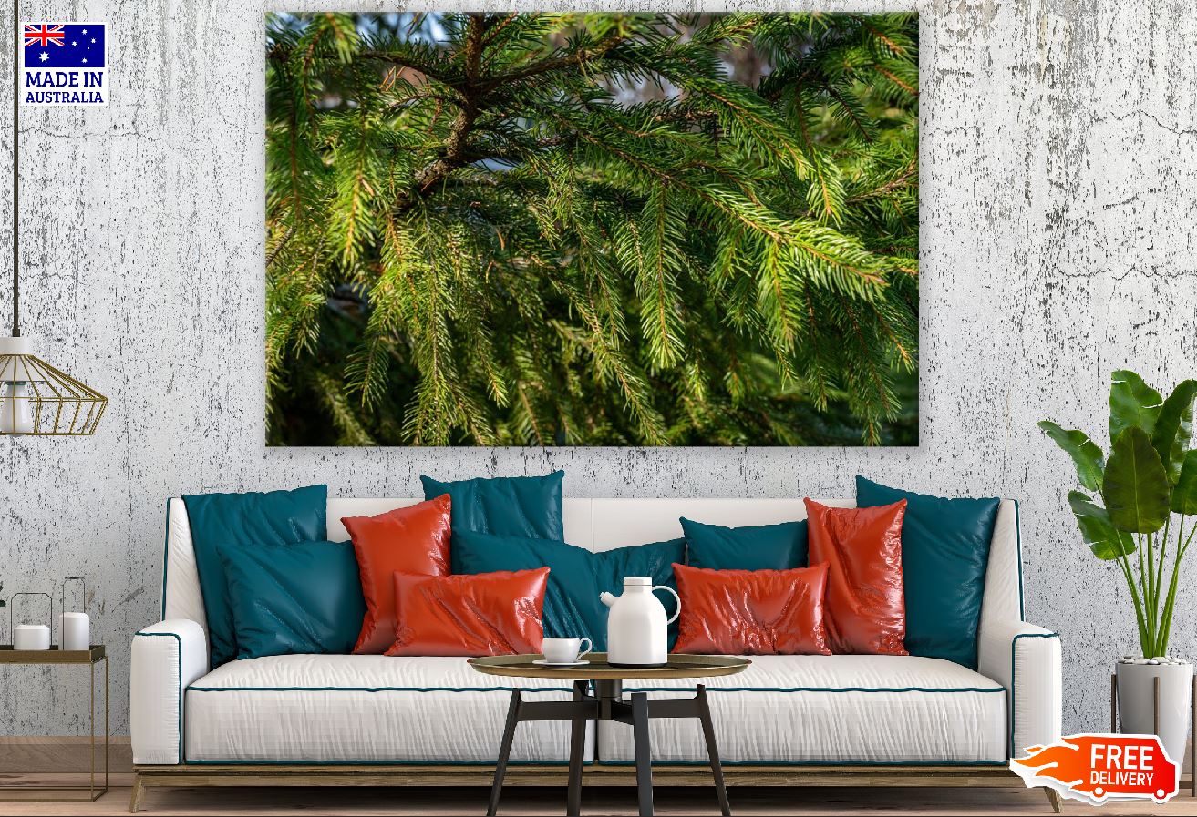 Christmas Tree Branch View Photograph Print 100% Australian Made